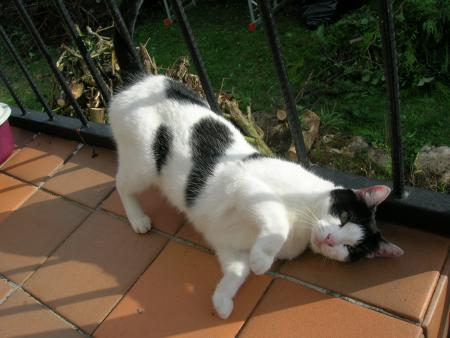 Diabolo dite diabolette